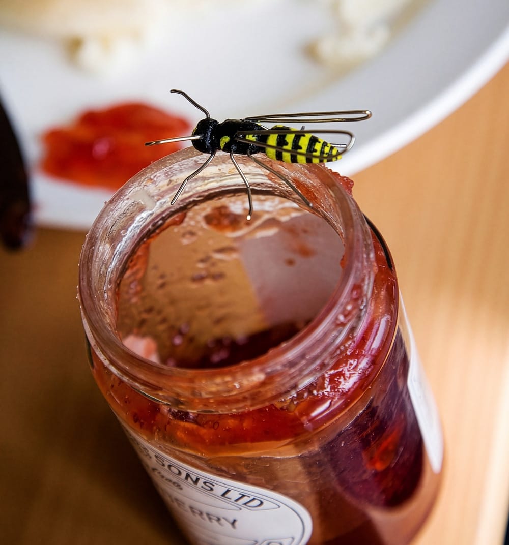 Pencil and paper clip bug: common wasp